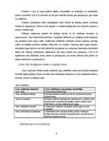 Referāts 'SIA „Objektīvs” mārketinga analīze', 9.