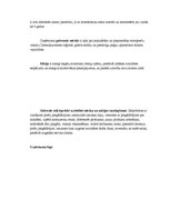 Biznesa plāns 'Motociklu preču veikals', 2.