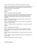 Biznesa plāns 'Motociklu preču veikals', 6.