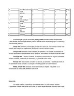 Biznesa plāns 'Motociklu preču veikals', 7.