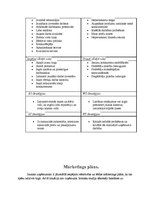 Biznesa plāns 'Motociklu preču veikals', 10.