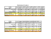 Biznesa plāns 'Motociklu preču veikals', 25.