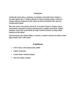 Biznesa plāns 'Motociklu preču veikals', 48.