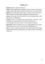 Referāts 'Slapjais vēris', 4.