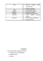 Referāts 'AS "Latvijas Balzams" mārketinga politikas izstrādāšana. Rīcības plāns mārketing', 3.