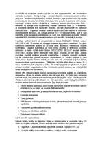 Konspekts 'Video koncepcija', 10.