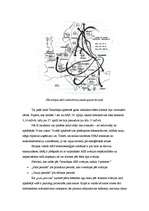 Referāts 'Radioekoloģija', 8.