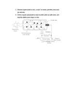 Referāts 'Radioekoloģija', 14.