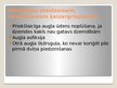 Prezentācija 'Dvīnu grūtniecība', 25.