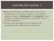 Prezentācija 'Balsts un kustības', 4.