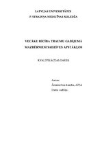 Referāts 'Vecāku rīcība traumu gadījumā mazbērniem sadzīves apstākļos', 1.
