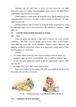 Referāts 'Vecāku rīcība traumu gadījumā mazbērniem sadzīves apstākļos', 21.