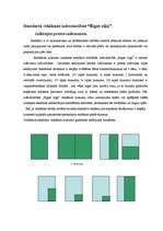 Referāts 'Standarta un nestandarta reklāmas izdevniecībā', 4.