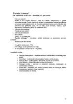 Referāts 'Standarta un nestandarta reklāmas izdevniecībā', 12.