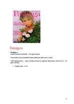 Referāts 'Standarta un nestandarta reklāmas izdevniecībā', 13.