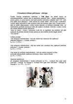 Referāts 'Standarta un nestandarta reklāmas izdevniecībā', 15.