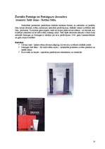 Referāts 'Standarta un nestandarta reklāmas izdevniecībā', 16.