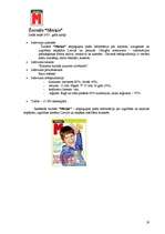 Referāts 'Standarta un nestandarta reklāmas izdevniecībā', 19.