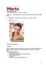 Referāts 'Standarta un nestandarta reklāmas izdevniecībā', 21.