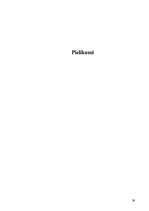 Referāts 'Standarta un nestandarta reklāmas izdevniecībā', 39.