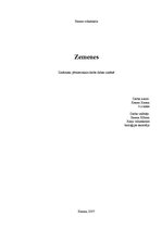 Referāts 'Zemeņu audzēšana', 1.