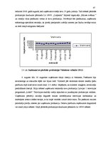 Diplomdarbs 'Maizes kvalitāte Latvijas tirgū no patērētāju viedokļa', 47.