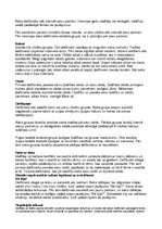 Konspekts 'Audzināšanas stundas saturs un norise', 3.