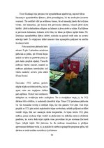 Prakses atskaite 'Jūras Prakses atskaite', 94.