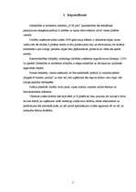 Biznesa plāns 'Biznesa plāns SIA "DGS pica"', 2.