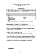 Biznesa plāns 'Biznesa plāns SIA "DGS pica"', 3.