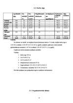 Biznesa plāns 'Biznesa plāns SIA "DGS pica"', 10.