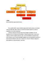 Biznesa plāns 'Biznesa plāns SIA "DGS pica"', 11.