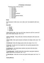 Biznesa plāns 'Biznesa plāns SIA "DGS pica"', 12.