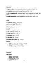 Biznesa plāns 'Biznesa plāns SIA "DGS pica"', 13.