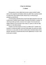 Biznesa plāns 'Biznesa plāns SIA "DGS pica"', 15.