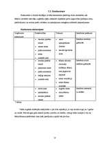 Biznesa plāns 'Biznesa plāns SIA "DGS pica"', 16.