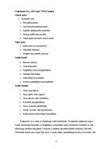 Biznesa plāns 'Biznesa plāns SIA "DGS pica"', 17.