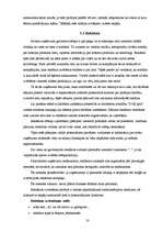 Biznesa plāns 'Biznesa plāns SIA "DGS pica"', 18.