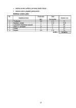 Biznesa plāns 'Biznesa plāns SIA "DGS pica"', 19.