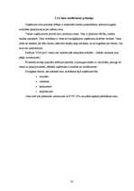 Biznesa plāns 'Biznesa plāns SIA "DGS pica"', 20.