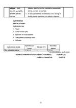 Biznesa plāns 'Biznesa plāns SIA "DGS pica"', 22.