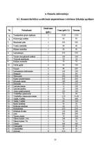 Biznesa plāns 'Biznesa plāns SIA "DGS pica"', 23.