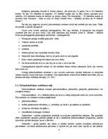 Referāts 'Pašaudzināšana', 9.