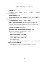 Biznesa plāns 'Biznesa plāns', 6.