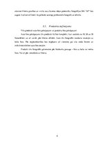 Biznesa plāns 'Biznesa plāns', 8.