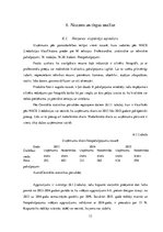 Biznesa plāns 'Biznesa plāns', 13.