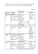 Biznesa plāns 'Biznesa plāns', 15.