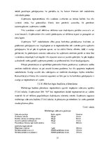 Biznesa plāns 'Biznesa plāns', 21.