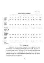 Biznesa plāns 'Biznesa plāns', 22.