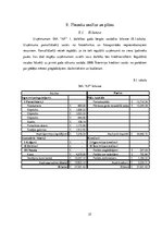 Biznesa plāns 'Biznesa plāns', 25.